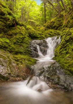 Small waterfall in the park (slow shutter speed) Stock Photos