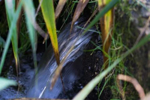 A small waterfall in the park. A stream in the park Stock Photos