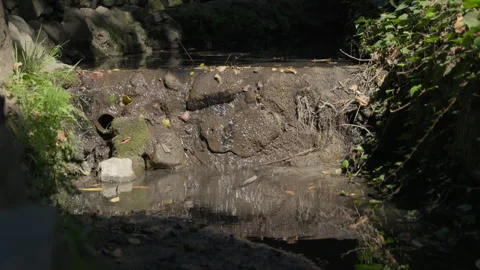 Small waterfall in a park, surrounded by mud and a bit of grass Video stock 319353351