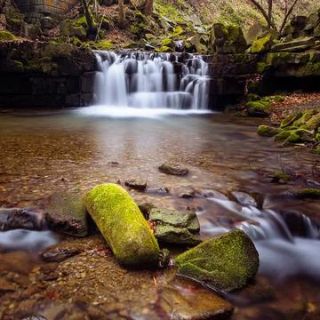 Small waterfall in the park  surrounded by trees and rocks covered with moss Stock-Fotos