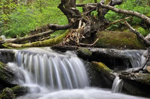 Small waterfall on a peaceful mountain spring Stock Photos