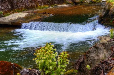 Small waterfall Stock Photos