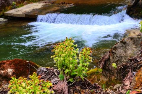 Small waterfall Stock Photos