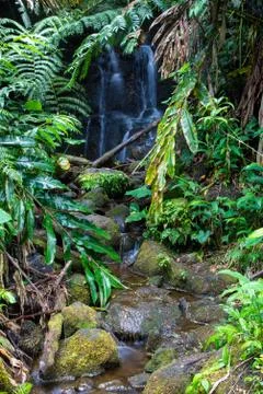 Small Waterfall Stock Photos