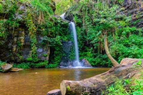 Small waterfall Stock Photos
