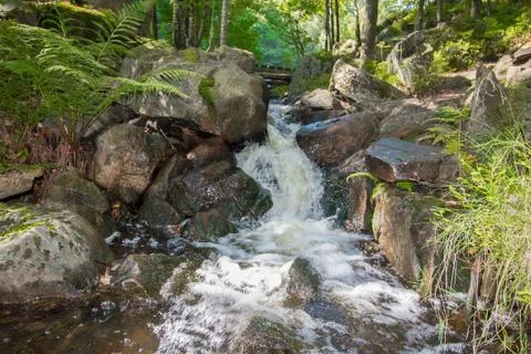 Small waterfall Stock Photos