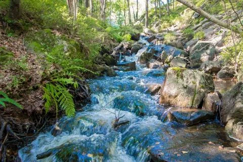 Small waterfall Stock Photos