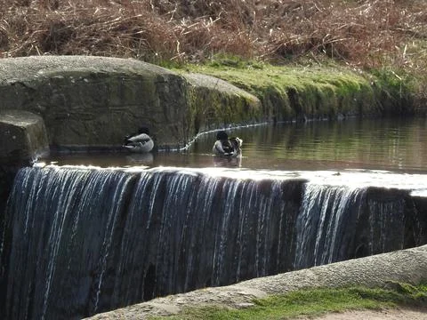 Small waterfall Stock Photos