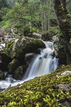 Small waterfall Stock Photos