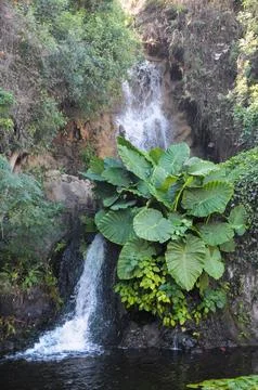 Small Waterfall Stock Photos