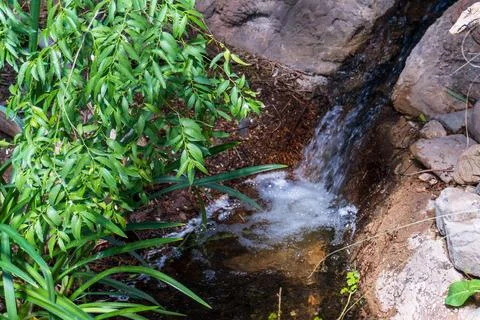 Small waterfall 库存照片