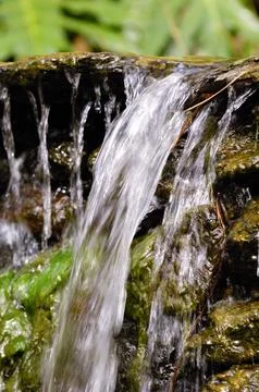 Small waterfall. Stock Photos
