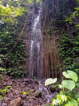 Small Waterfall 스톡 사진