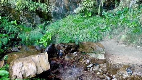 Small waterfall with plants 動画素材 201838364