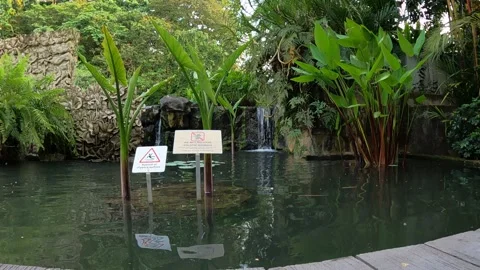 Small waterfall on a pond Stock Footage 156306508