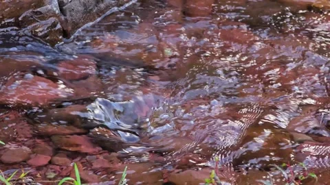 Small waterfall in a pond Stock Footage 305722597