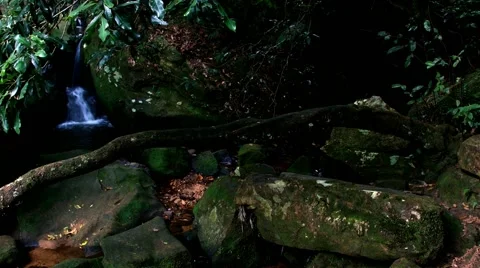 Small waterfall in rain forest tracking shot Vidéo 68417582