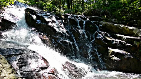 Small waterfall in the rainforest from below Video stock 33313091