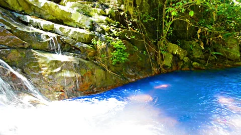 Small waterfall in the rainforest close-up view Video stock 33312247