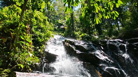 Small waterfall in the rainforest Video stock 33310775