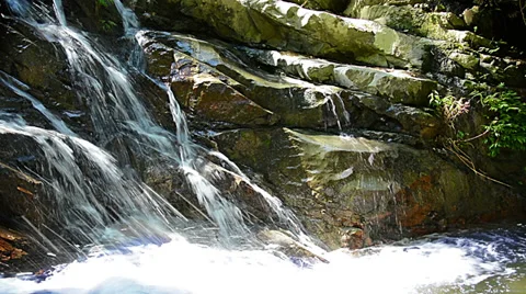 Small waterfall in the rainforest Video stock 33317625