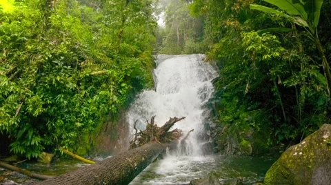 A small waterfall in the rainforest Stock Footage 40781945