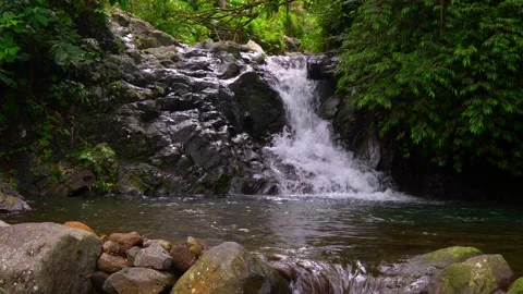 Small waterfall in the rainforest. Philippines Vídeo Stock 160020366