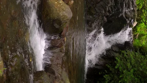 Small waterfall in the rainforest. Philippines Vídeo Stock 160020492