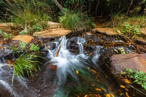 Small waterfall in a rainforest Stock Photos