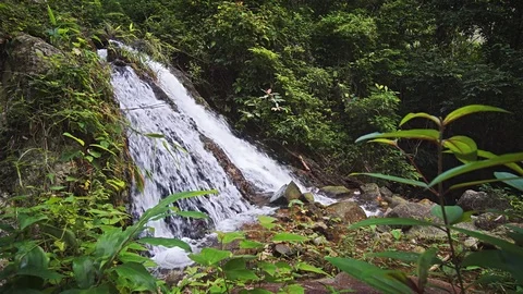 Small waterfall in the rainforest on Phuket island, Thailand Stock Footage 75009642