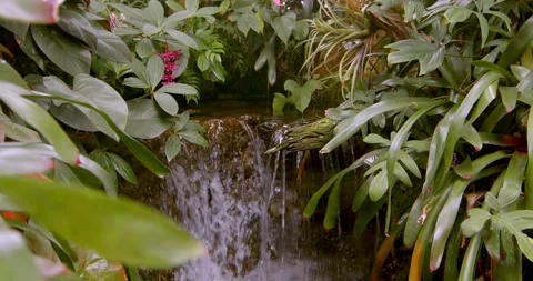 Small waterfall in the rainforest with red flower peaceful 動画素材 221872281