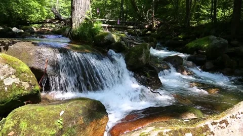 Small waterfall on the river in a dense forest. Siberia, Russian Far East Stock Footage 67253064