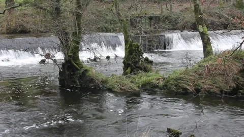 Small waterfall in a river during autumn Stock Footage 301570188