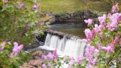 Small Waterfall in a River Stock Footage 100980868