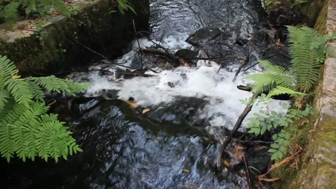Small waterfall in River Landro, Spain Stock Footage 248009334