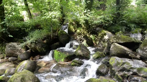 Small waterfall in river. landscape Stock Footage 48782455