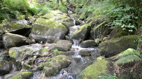 Small waterfall in river. landscape Stock Footage 48782475
