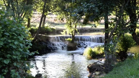 Small waterfall in river. landscape Stock Footage 48783357