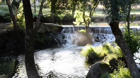 Small waterfall in river. landscape Stock Footage 48783389