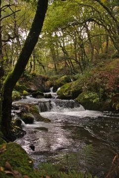Small waterfall in river Stock Photos