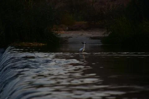 Small waterfall in a river Stock Photos