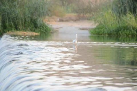 Small waterfall in a river Foto stock
