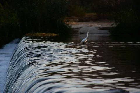 Small waterfall in a river Stock Photos
