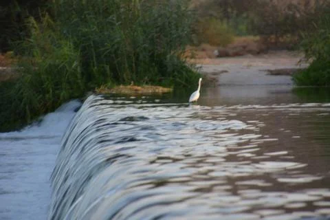 Small waterfall in a river Stock Photos