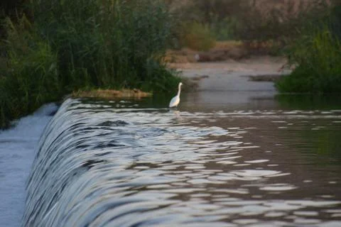 Small waterfall in a river Stock Photos