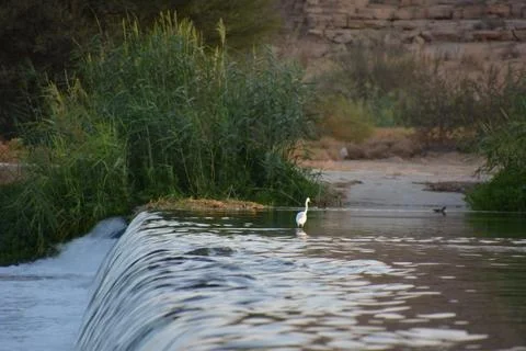 Small waterfall in a river Stock Photos