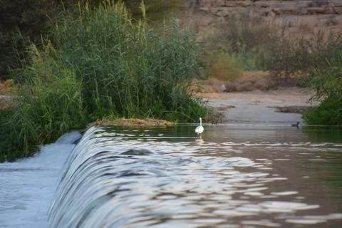 Small waterfall in a river Stock Photos