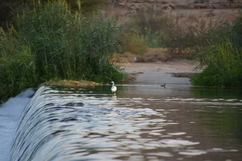 Small waterfall in a river Stock Photos