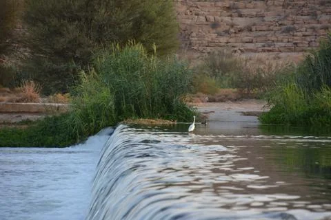 Small waterfall in a river Stock Photos