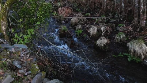 Small waterfall on river in Portugal Video stock 88798481